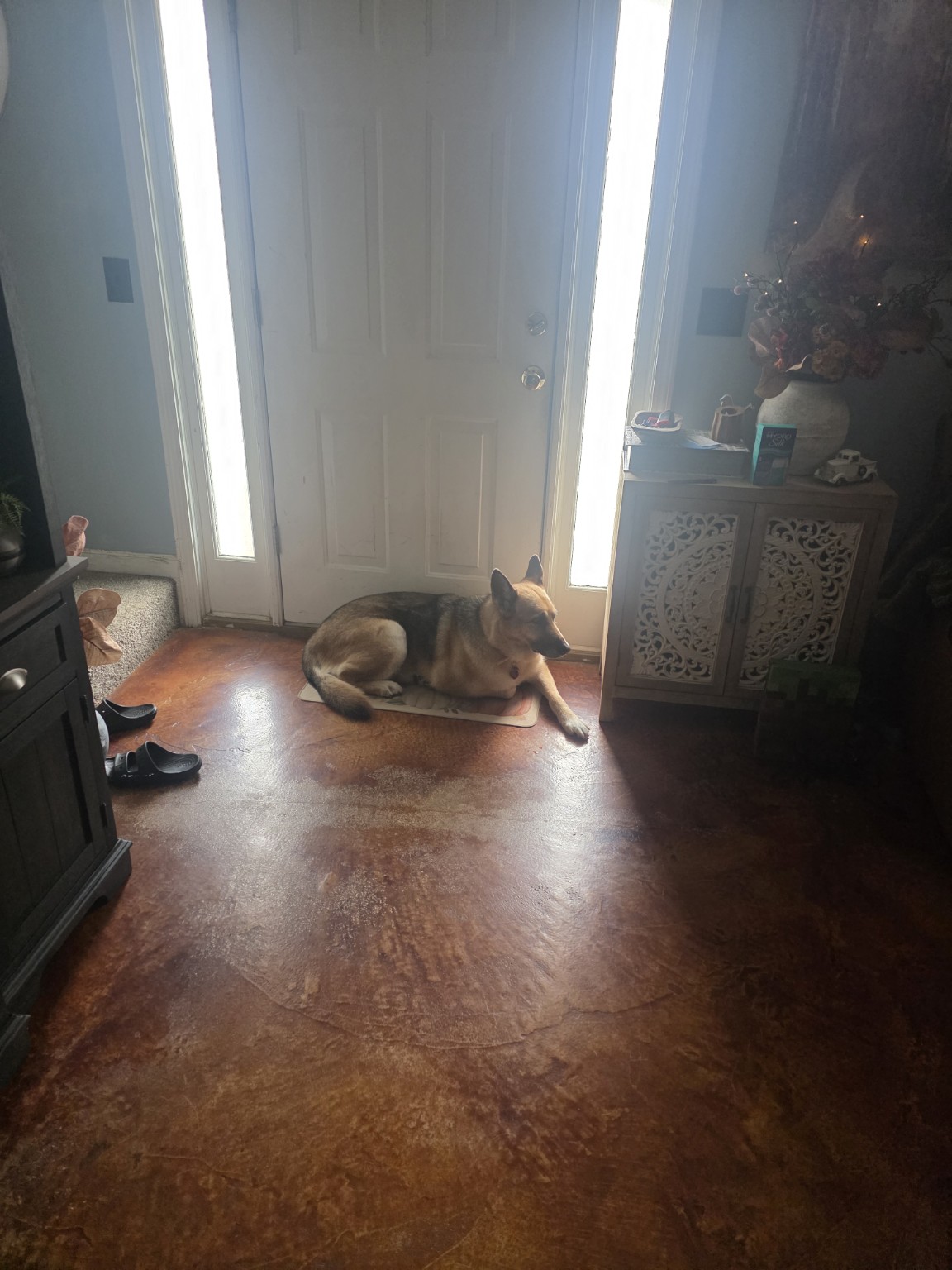 Mia. Adopted by Manny and Ale perez