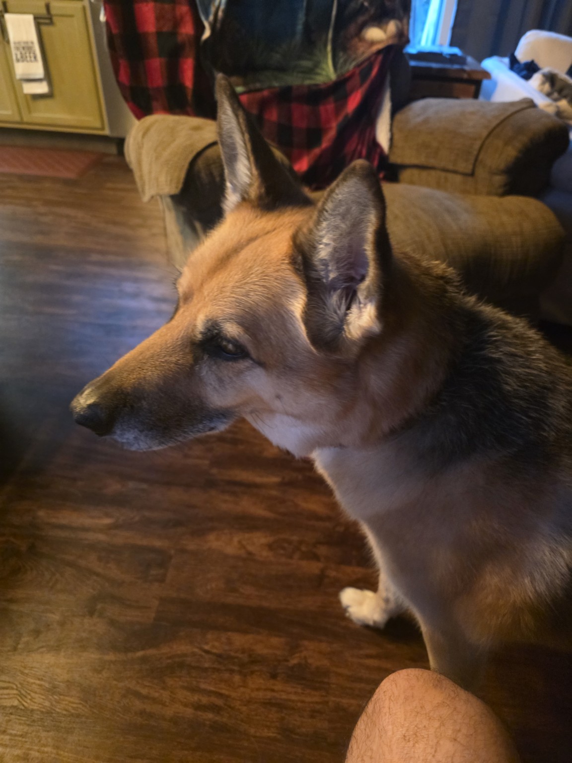 Mia. Adopted by Manny and Ale perez